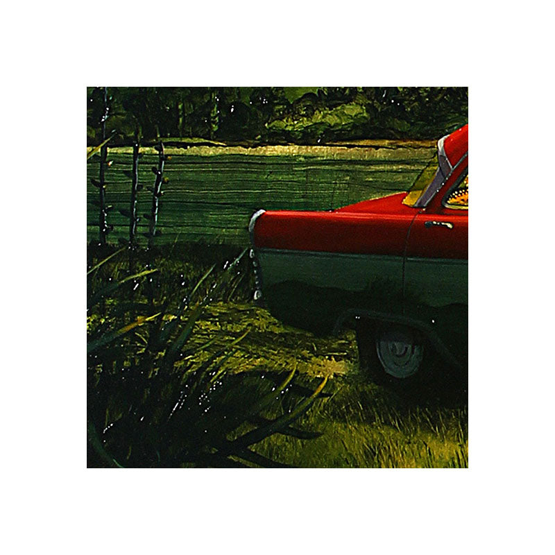 No 62. Sight Seeing in New Zealand.