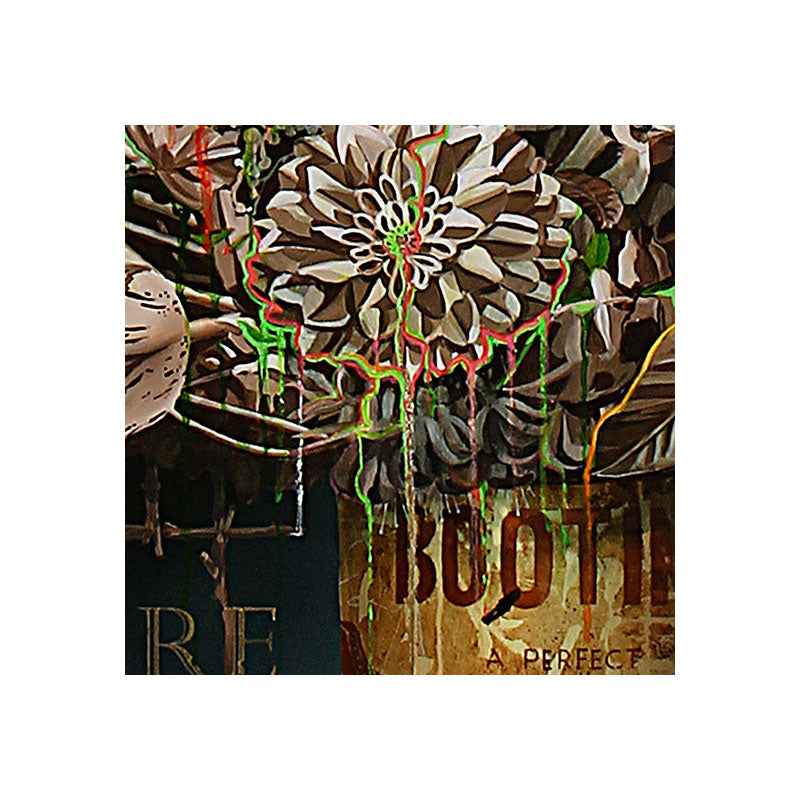 No 12. Nature Culture and Sensible Shoes.