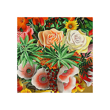 No 15. Nature Culture and Going Round the Rocks.