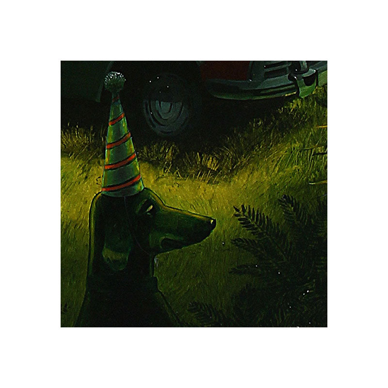 No 62. Sight Seeing in New Zealand.