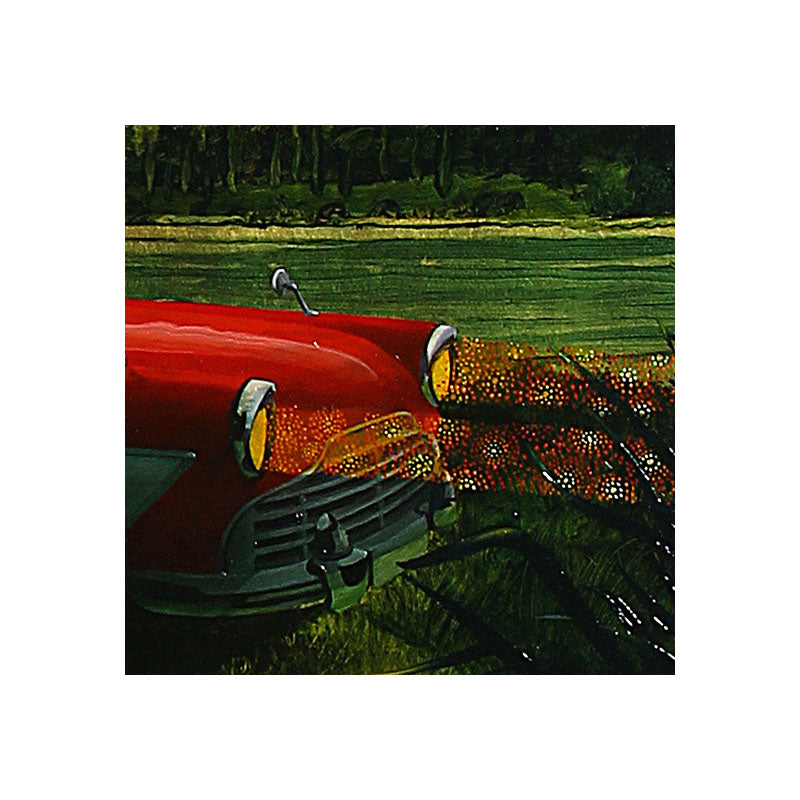 No 62. Sight Seeing in New Zealand.