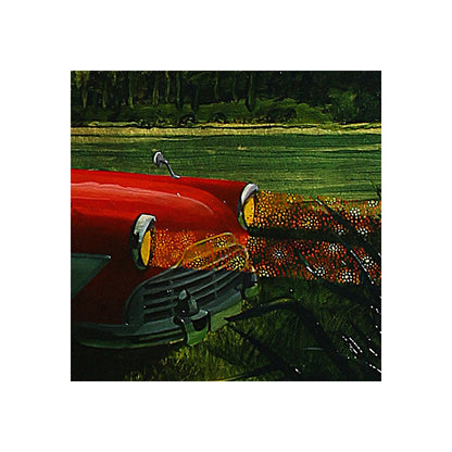 No 62. Sight Seeing in New Zealand.