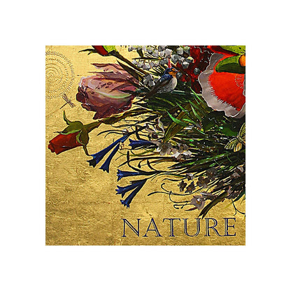 No 9. Nature Culture and Things That Are Not Broken.